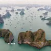 Phong cảnh tuyệt đẹp của Vịnh Hạ Long thu hút sự quan tâm của nhiều du khách. (Ảnh: Hoàng Hiếu/TTXVN)