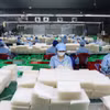 Chính phủ ban hành Nghị định số 181/2026/NĐ-CP ngày 21/5/2026 quy định về quản lý người giữ chức danh, chức vụ và người đại diện phần vốn nhà nước tại doanh nghiệp. (Ảnh minh họa. Nguồn: TTXVN)