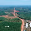 Không chỉ mang ý nghĩa bảo vệ tài nguyên thiên nhiên, những cánh rừng Mã Đà còn đóng vai trò quan trọng trong điều hòa khí hậu, giữ nguồn nước và bảo vệ môi trường sinh thái cho khu vực. (Ảnh: Đậu Tất Thành/TTXVN)