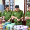 Phòng Cảnh sát kinh tế Công an tỉnh Thanh Hóa triệt phá đường dây sản xuất, buôn bán tân dược giả qui mô lớn. (Ảnh: TTXVN phát)
