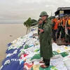 Lực lượng quân đội ứng phó khẩn cấp chống sạt lở bờ kè An Lương và bãi biển Tân Thành, An Bàng ở thành phố Đà Nẵng. (Ảnh: Trần Tĩnh/TTXVN)