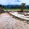Ảnh minh họa. (Ảnh: TTXVN phát)