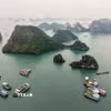 Vịnh Hạ Long. (Nguồn: TTXVN)
