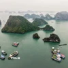 Cảnh quan thiên nhiên tuyệt đẹp của Vịnh Hạ Long thu hút nhiều du khách tới tham quan, khám phá. (Ảnh: Hoàng Hiếu/TTXVN)