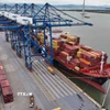 Bốc xếp hàng hóa xuất khẩu ở cảng Container Quốc tế Hải Phòng, thị trấn Cát Hải, huyện Cát Hải, thành phố Hải Phòng. (Ảnh: Vũ Sinh/TTXVN)