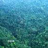(Ảnh minh họa: Nguyễn Nam/TXVN)