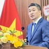 Chủ tịch Liên hiệp các tổ chức hữu nghị Việt Nam Phan Anh Sơn phát biểu tại buổi Gặp gỡ. (Ảnh: Hải Ngọc/TTXVN)