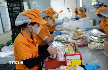 Kinh tế tư nhân là lực lượng tiên phong để thúc đẩy tăng trưởng, tạo việc làm, nâng cao năng suất. (Ảnh: Nguyễn Dũng/TTXVN)
