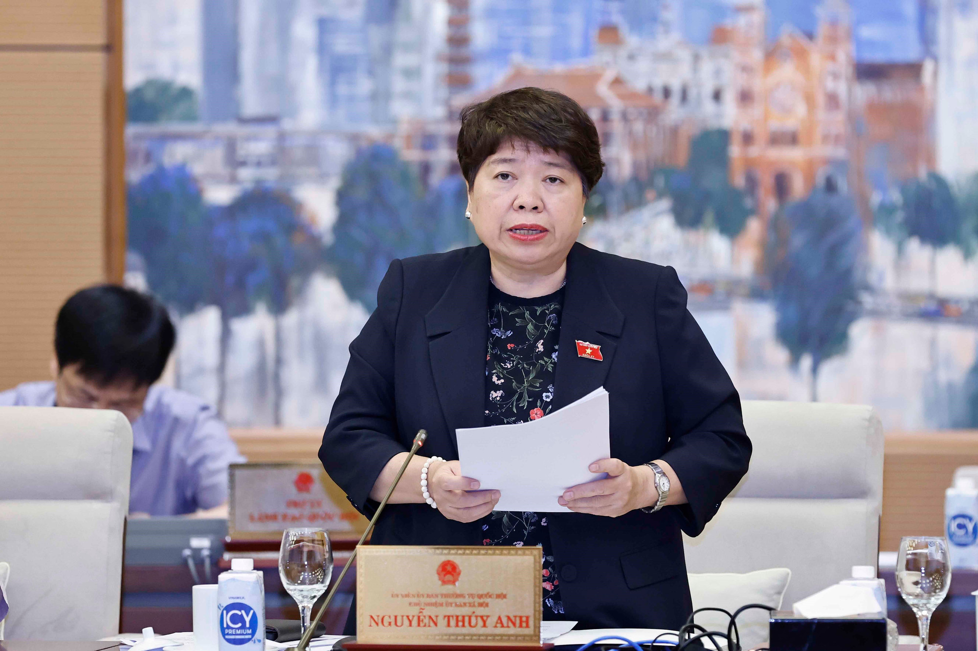 TTXVN_ba thuy anh.jpg