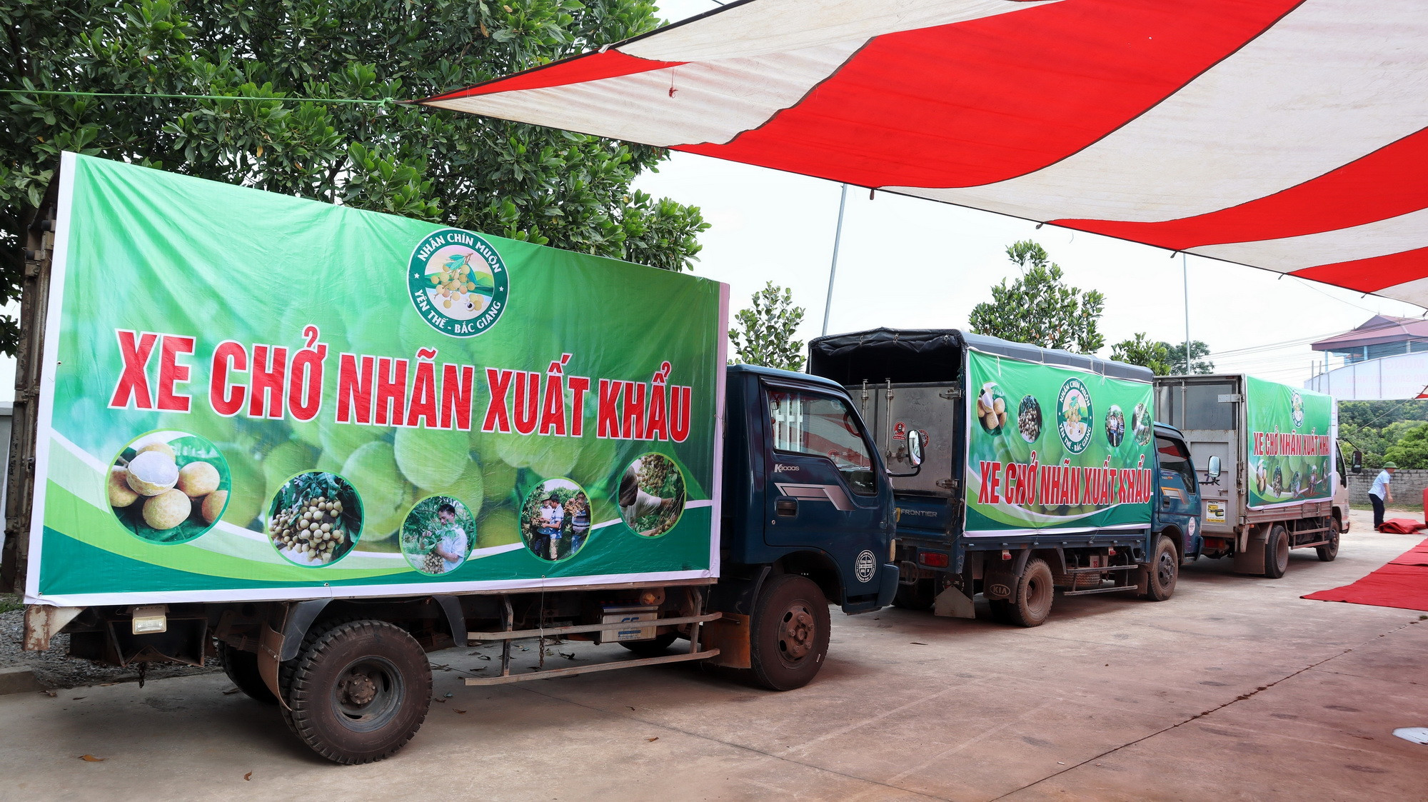 ttxvn_xuat khau nhan 1.jpg