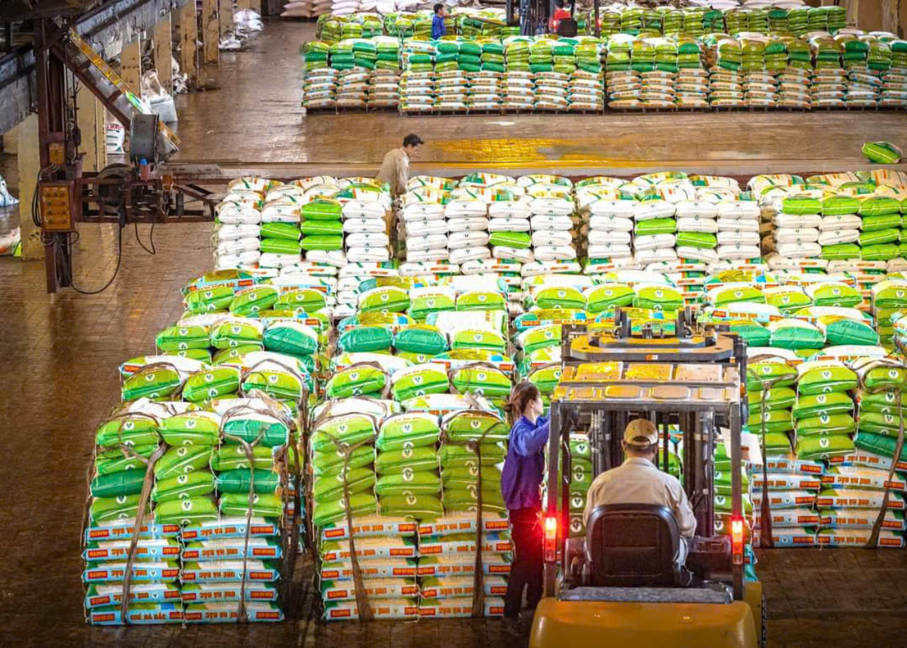 Việc đưa mặt hàng phân bón vào đối tượng không thuộc diện chịu thuế giá trị gia tăng đã ảnh hưởng rất lớn đến hoạt động sản xuất phân bón trong nước. (Ảnh: Vietnam+)