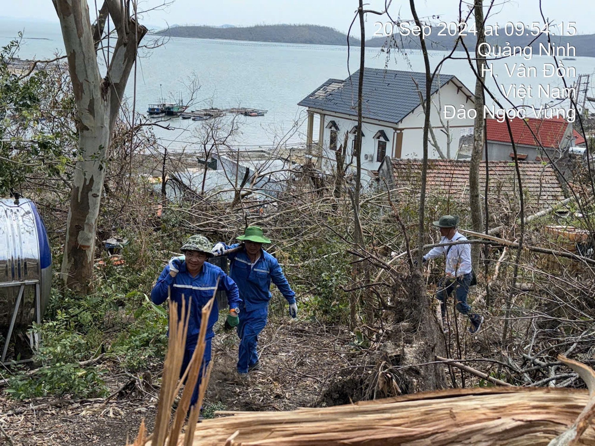 vnp_vien thong Quang Ninh10.jpg