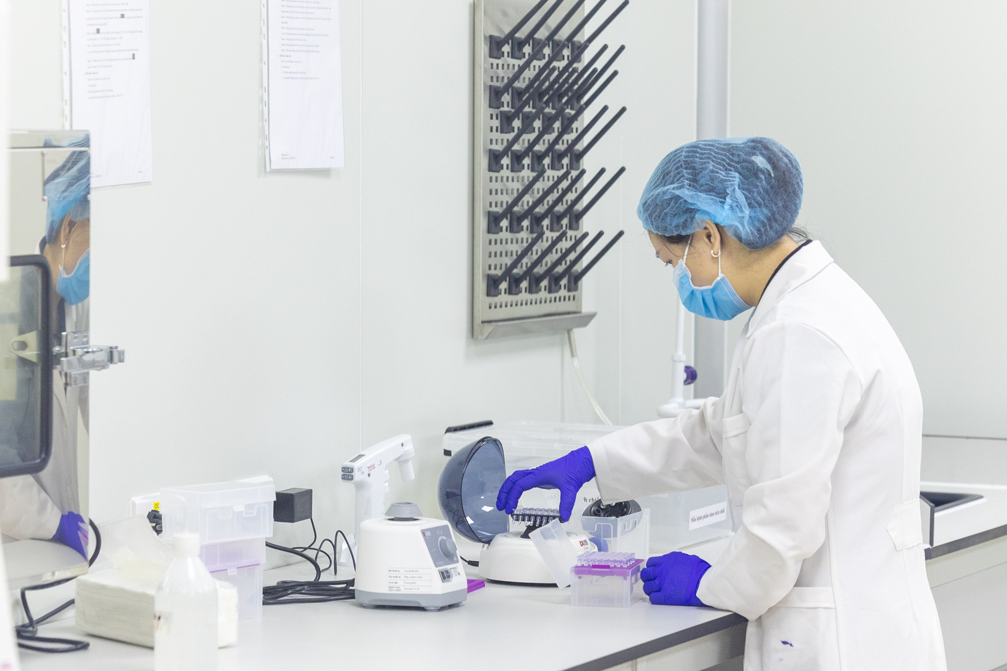 vnp_lay mau ADN 8.jpg