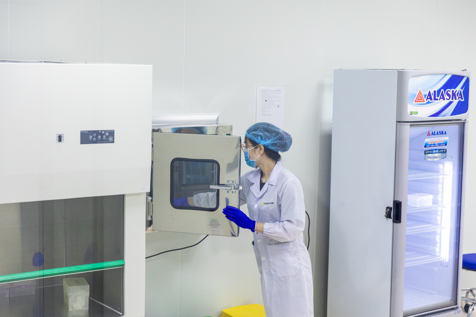 vnp_lay mau ADN 11.jpg