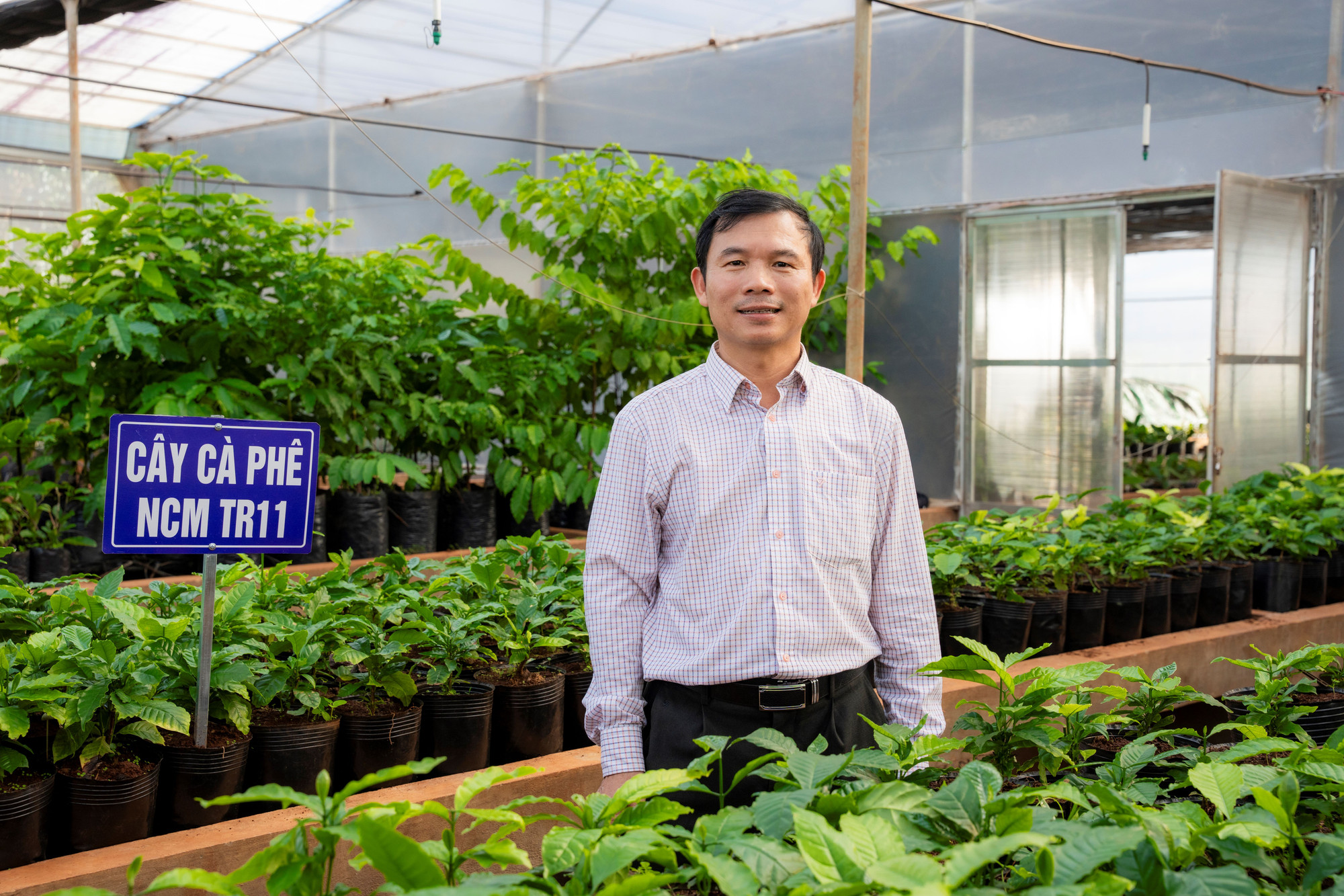 Ông Nguyễn Hắc Hiển, Chi cục Trưởng Chi cục Trồng trọt và Bảo vệ Thực vật tỉnh Đắk Lắk, khẳng định NESCAFÉ Plan là chương trình hợp tác công tư mang tính chiến lược, phù hợp với định hướng phát triển nông nghiệp bền vững của quốc gia. (Ảnh: Vietnam+) vnp_ong Hien.JPG