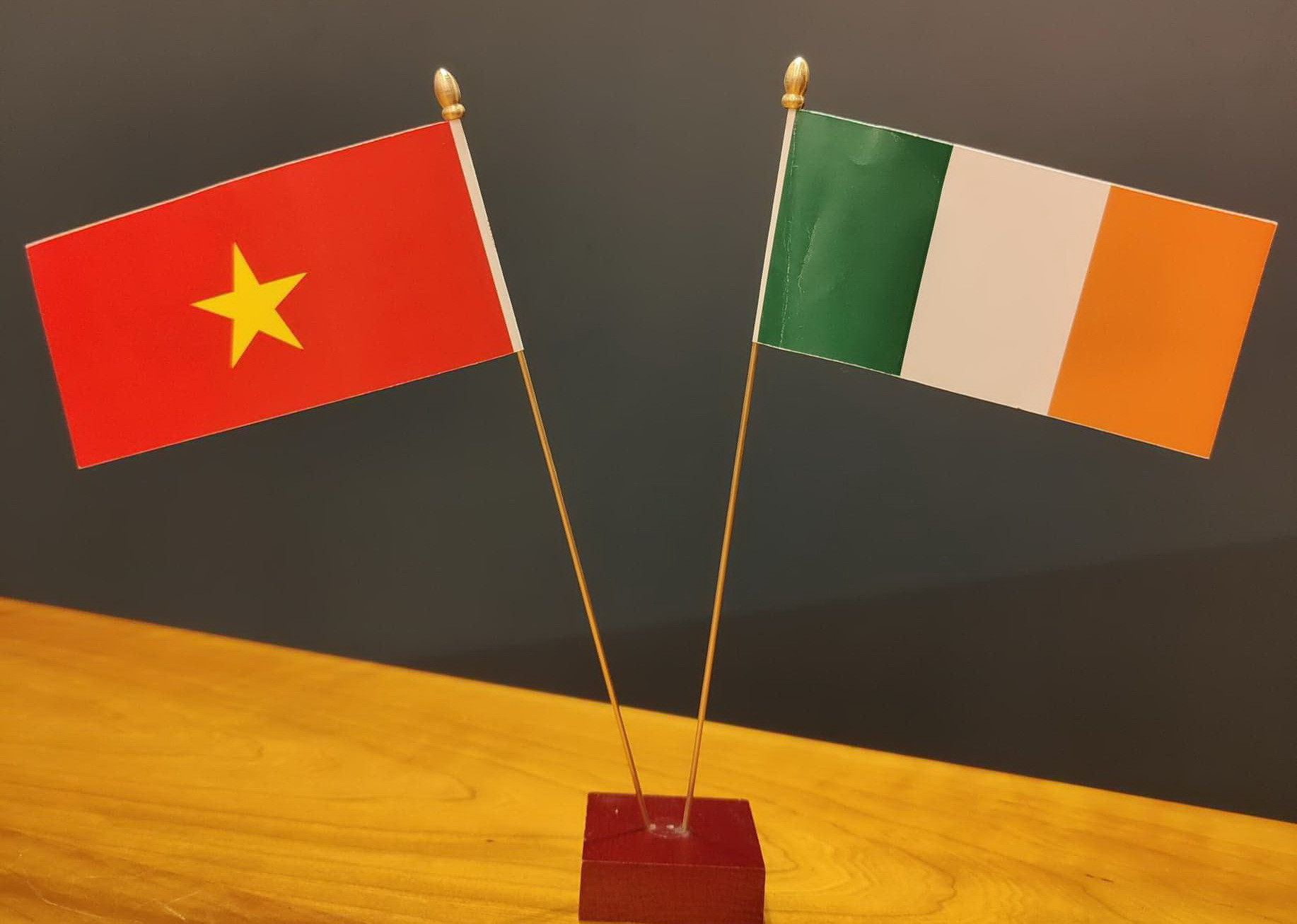 viet nam -ireland 0110.jpg