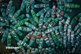 Những chiếc đò chèo tay chở khách chờ ở bến Tràng An, Ninh Bình. (Ảnh: Vương Công Nam/Vietnam+)