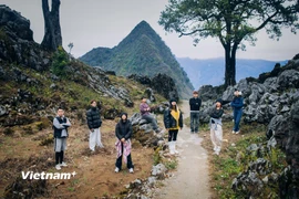 Hà Giang lọt top những điểm đến đẹp nhất thế giới 2026. (Ảnh: Vương Công Nam/Vietnam+)
