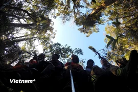 Theo các chuyên gia, du lịch Việt cần ứng phó với “bão” tài chính bằng giá trị bền vững. (Ảnh minh họa: Mai Mai/Vietnam+)