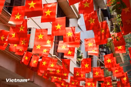 Kỷ niệm 80 năm Cách mạng tháng Tám thành công và Quốc khánh nước Cộng hòa xã hội chủ nghĩa Việt Nam với nhiều hoạt động vừa chính thức được phê duyệt đề án tổng thể. (Ảnh minh họa: Hoài Nam/Vietnam+)