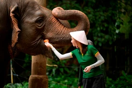 Lương Linh trong thử thách dọn chuồng voi và capybara tại Thảo Cầm Viên. (Ảnh: CTV/Vietnam+)