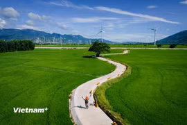 Cánh đồng điện gió Đầm Nại, tỉnh Khánh Hòa (thuộc tỉnh Ninh Thuận trước khi sáp nhập). (Ảnh: Vương Nam/Vietnam+)