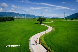 Cánh đồng điện gió Đầm Nại, tỉnh Khánh Hòa (thuộc tỉnh Ninh Thuận trước khi sáp nhập). (Ảnh: Vương Nam/Vietnam+)