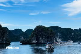 Vịnh Hạ Long một chiều sóng yên biển lặng. (Ảnh minh họa: Mai Mai/Vietnam+)