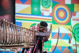 Mega Concert sẽ tạo nên màn khai mạc ấn tượng, mở đầu cho hành trình Năm Du lịch Quốc gia 2026 bằng một đại sự kiện giàu tính nghệ thuật và trải nghiệm. (Ảnh minh họa: Tarzan Tây Nguyên/Vietnam+)