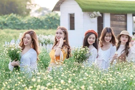 Bãi đá sông Hồng với vườn hoa check-in được giới trẻ yêu thích. (Ảnh: Thế Đại/ Vietnam+)