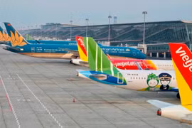 Máy bay của các Hãng hàng không Việt Nam tại Sân bay Quốc tế Nội Bài. (Ảnh: PV/Vietnam+)