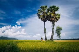 Trong giai đoạn phát triển mới, điểm đến Việt Nam không chỉ cần độc đáo, khác biệt mà còn cần sự hỗ trợ đồng bộ của công nghệ và tư duy quản lý, vận hành mới. (Ảnh: Vương Công Nam/Vietnam+)