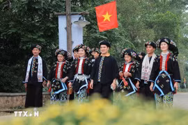 Ảnh minh họa. (Ảnh: Hoàng Hiếu/TTXVN)