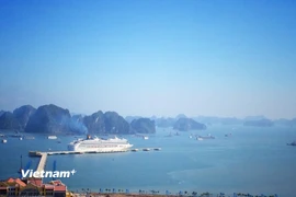 Cảng tàu khách Quốc tế Hạ Long là nơi dừng chân của lượng lớn khách ngoại đến Quảng Ninh. Cảng tàu khách này được triển khai theo hình thức đối tác công - tư. (Ảnh: Mai Mai/Vietnam+)