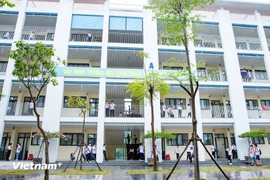 (Ảnh minh họa: Hoài Nam/Vietnam+)