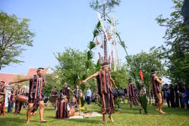 Dân tộc Cơ Tu, Đà Nẵng trình diễn cây Nêu với “Lễ ăn trâu mừng lúa nước.” (Ảnh: PV/Vietnam+)