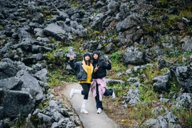 Những cung đường đá uốn lượn với khung cảnh thiên nhiên ngoạn mục và ấn tượng của Hà Giang (nay là tỉnh Tuyên Quang) có sức hấp dẫn đặc biệt khách quốc tế. (Ảnh: Vương Công Nam/Vietnam+)