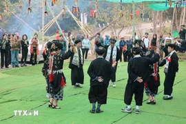 Làng Văn hóa-Du lịch các dân tộc Việt Nam có nhiều hoạt động văn hóa đặc sắc trong những ngày đầu Xuân. (Ảnh: Hoàng Hiếu/TTXVN)