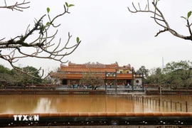 Đoàn khách quốc tế đầu tiên tham quan Đại Nội Huế mở cửa trở lại sau lũ vào sáng ngày 4/11. (Ảnh: TTXVN)