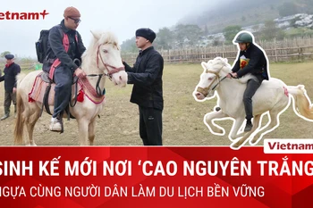 Ngựa tung vó: Điểm nhấn độc đáo hút khách du lịch tới "cao nguyên trắng"