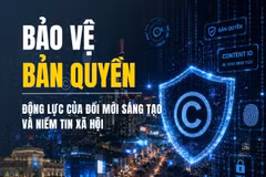 Bảo vệ bản quyền: Động lực của đổi mới sáng tạo và niềm tin xã hội