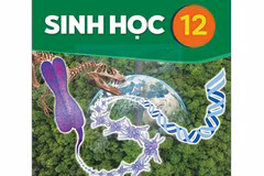 Đừng sa đà vào câu khó, những lưu ý mấu chốt để không "mất điểm oan" môn Sinh học