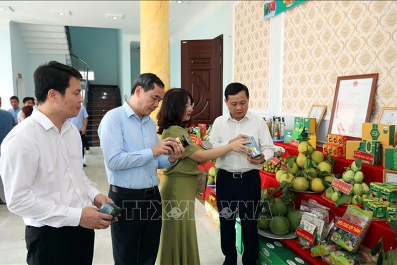 Các đại biểu tham quan gian hàng OCOP của Tuyên Quang. (Ảnh: Hoàng Hải/TTXVN)