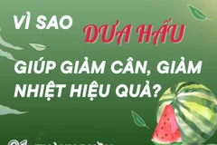 Vì sao dưa hấu giúp giảm cân, giảm nhiệt hiệu quả