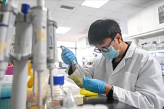 Một nhà nghiên cứu làm việc tại Viện Hàn lâm Khoa học Trung Quốc. (Nguồn: CNN)