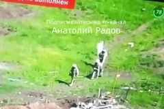 Lính Ukraine bình thản đi tải thương nhờ vẫy cờ trắng với lính Nga