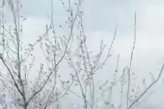 Drone đánh chặn của Nga hạ drone Ukraine trong cuộc không chiến chớp nhoáng