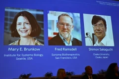 Chân dung các nhà khoa học đoạt giải Nobel Y sinh năm 2025 (từ trái sang): Mary E Brunkow, Fred Ramsdell và Shimon Sakaguchi. (Ảnh: REUTERS/TTXVN)