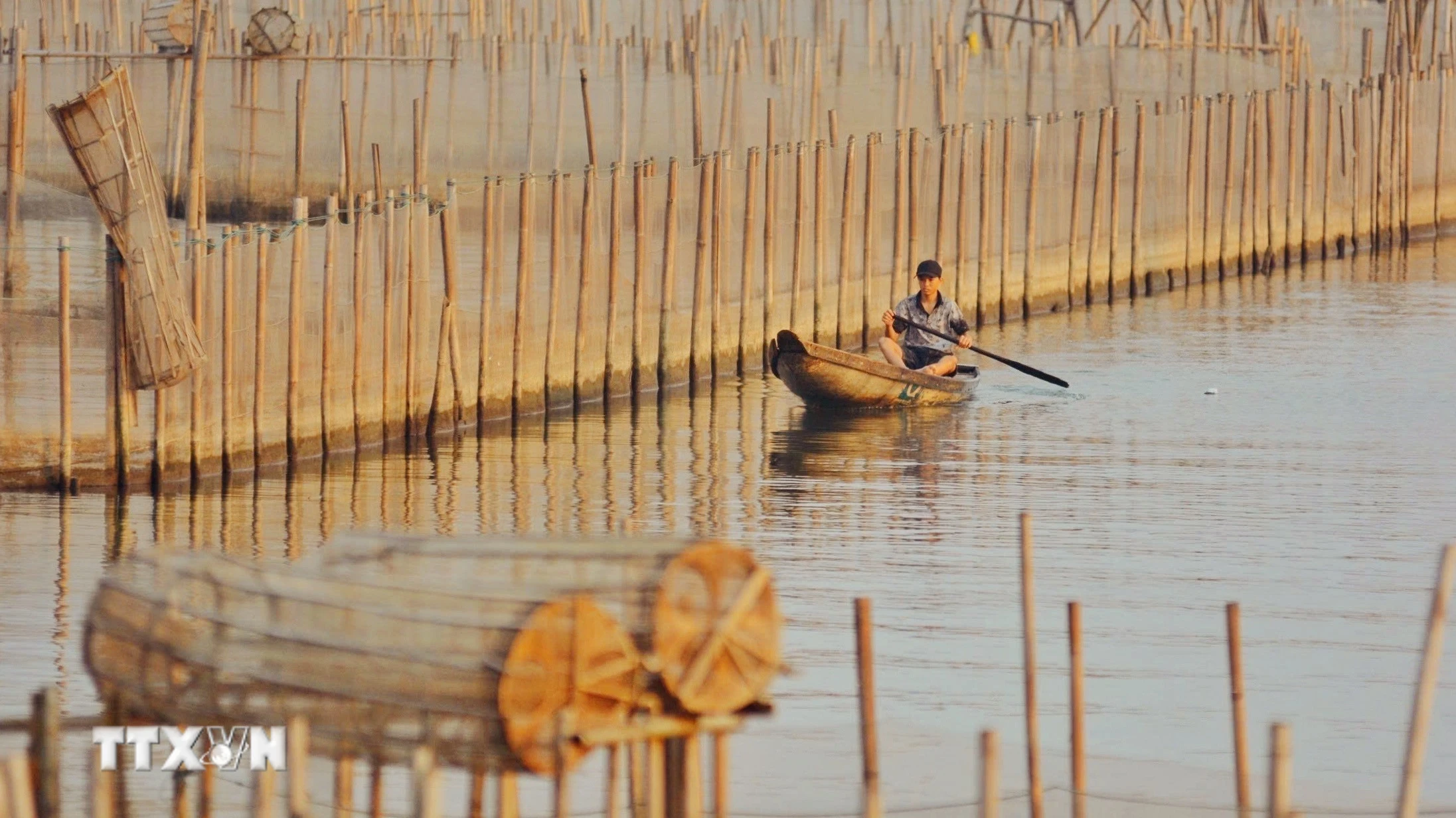 Giữ đầm phá Tam Giang, mở sinh kế cho người dân miền Trung