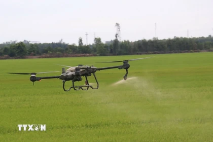 Thiết bị bay không người lái phun thuốc bảo vệ thực vật trên cánh đồng lúa xã Tân Nghĩa, huyện Cao Lãnh, Đồng Tháp. (Ảnh: Nguyễn Văn Trí/TTXVN)